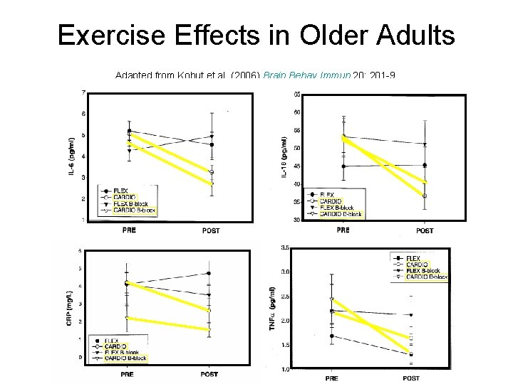 Exercise Effects in Older Adults Adapted from Kohut et al. (2006) Brain Behav Immun