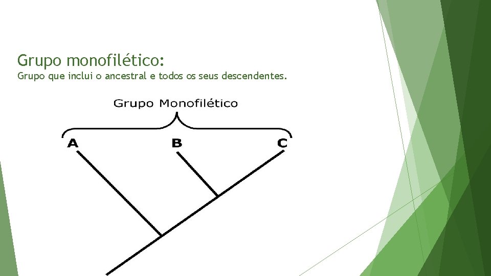 Grupo monofilético: Grupo que inclui o ancestral e todos os seus descendentes. 