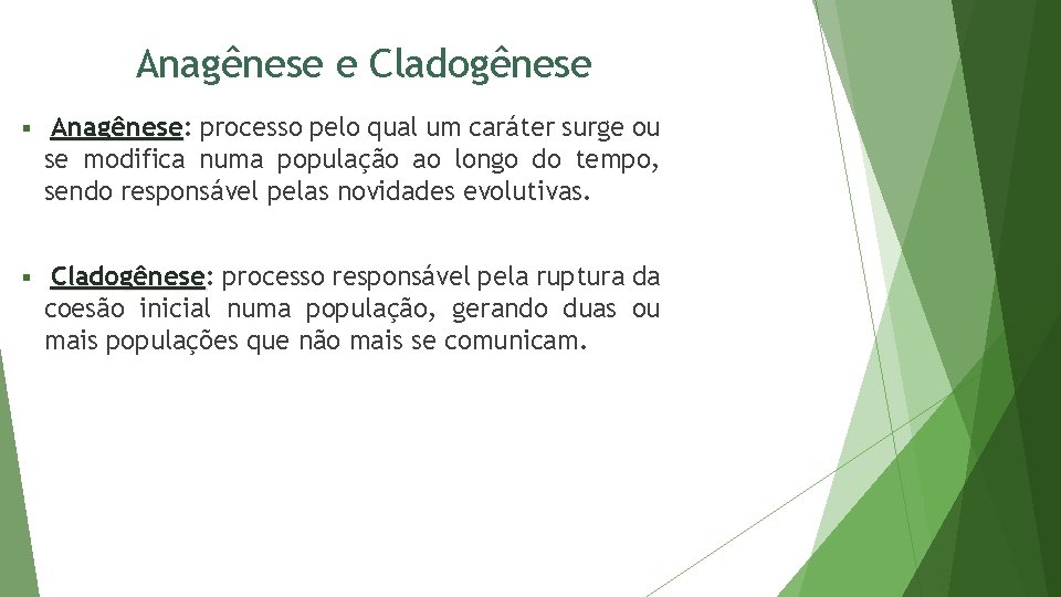 Anagênese e Cladogênese Anagênese: Anagênese processo pelo qual um caráter surge ou se modifica