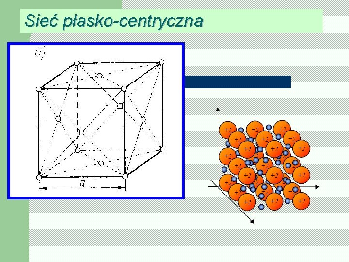 Sieć płasko-centryczna 