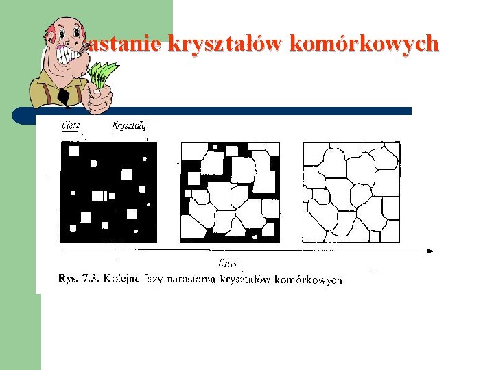 Narastanie kryształów komórkowych 