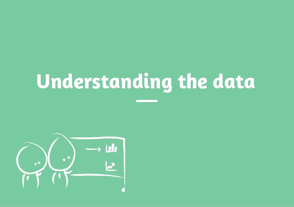 Understanding the data 