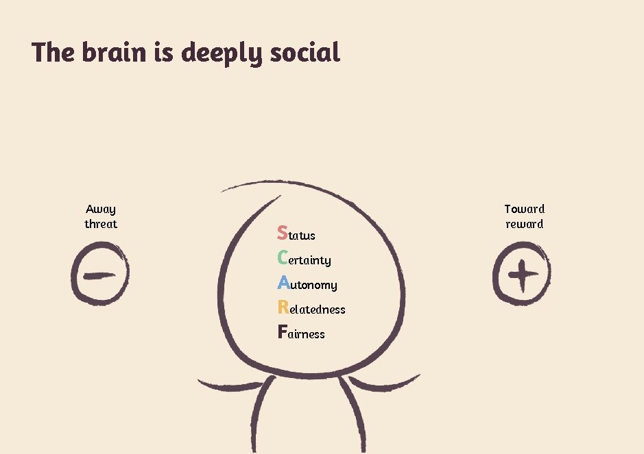 The brain is deeply social Away threat Status Certainty Autonomy Relatedness Fairness Toward reward