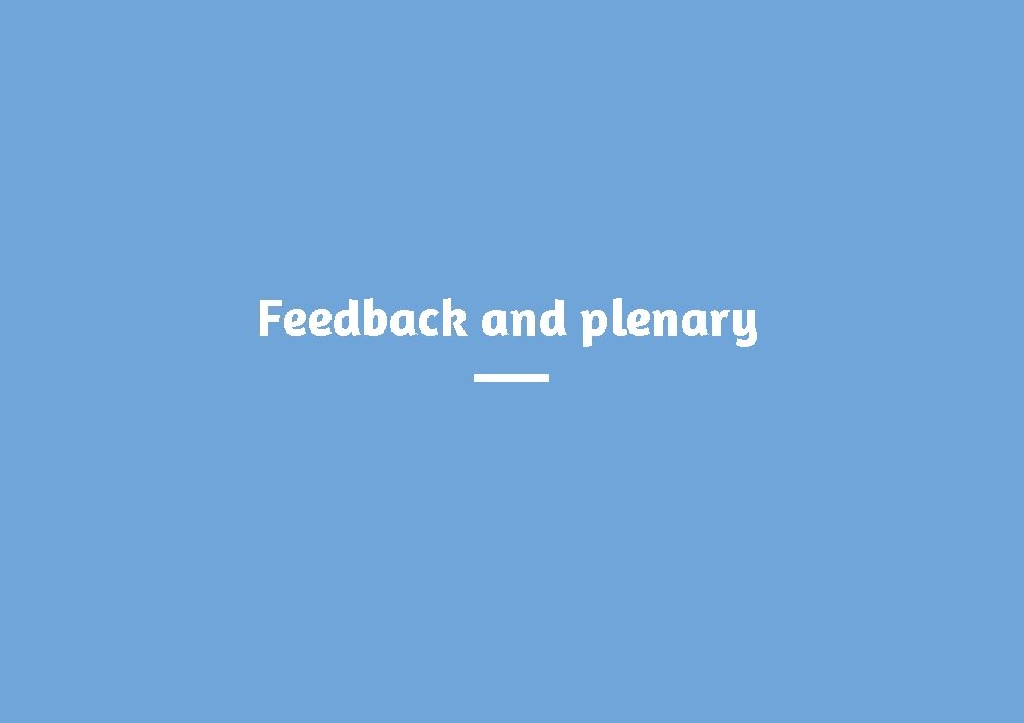 Feedback and plenary 