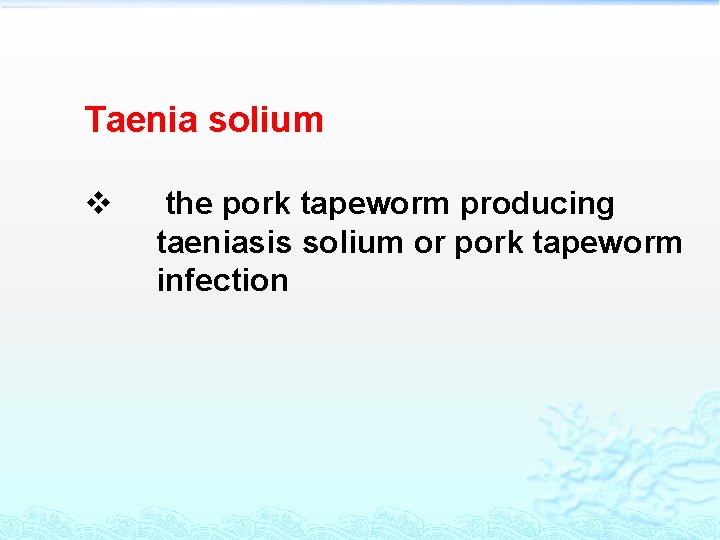 Taenia solium v the pork tapeworm producing taeniasis solium or pork tapeworm infection 