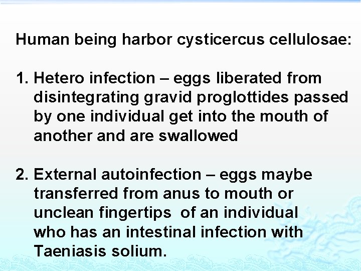 Human being harbor cysticercus cellulosae: 1. Hetero infection – eggs liberated from disintegrating gravid