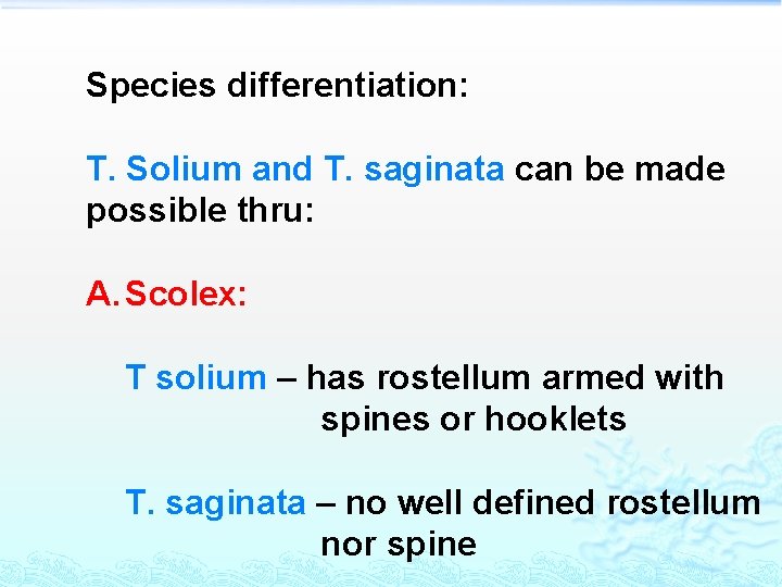 Species differentiation: T. Solium and T. saginata can be made possible thru: A. Scolex: