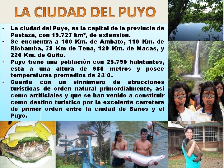  • • La ciudad del Puyo, es la capital de la provincia de