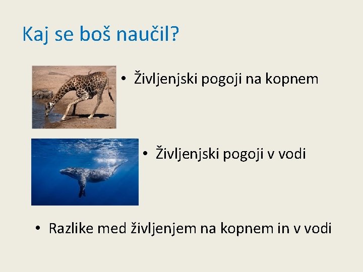 Kaj se boš naučil? • Življenjski pogoji na kopnem • Življenjski pogoji v vodi