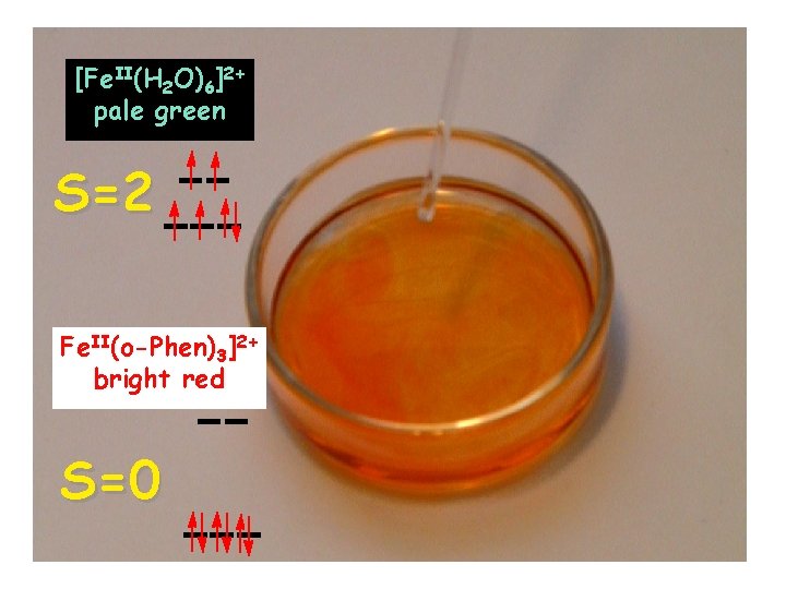 [Fe. II(H 2 O)6]2+ pale green S=2 Fe. II(o-Phen)3]2+ bright red S=0 