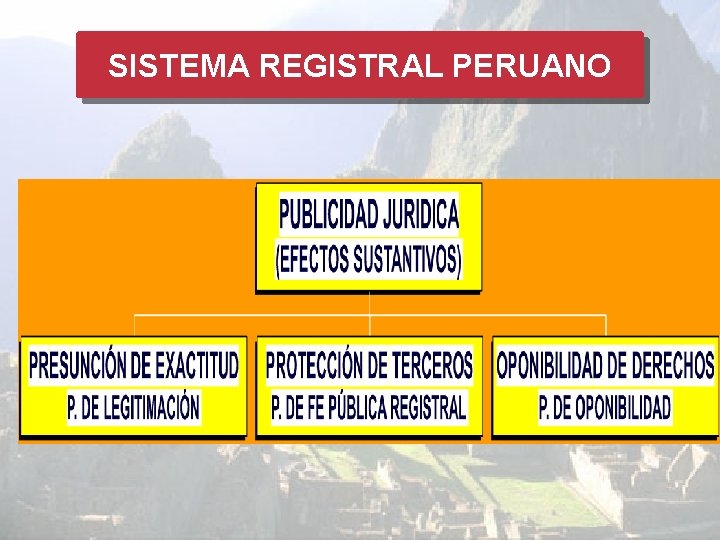 SISTEMA REGISTRAL PERUANO 