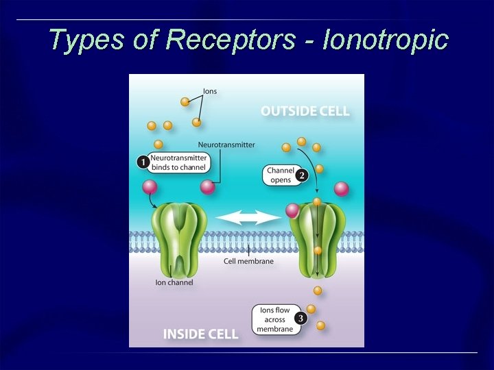 Types of Receptors - Ionotropic Types of Receptors - Ionotropic