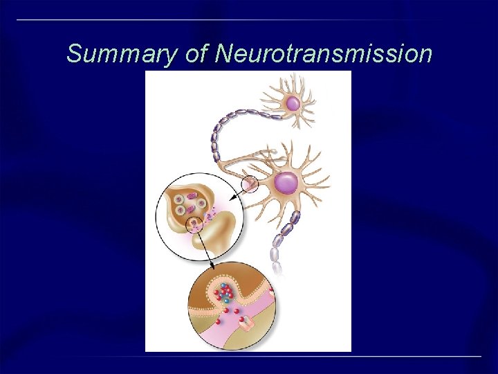 Summary of Neurotransmission Summary of Neurotransmission