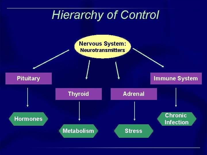 Hierarchy of Control Nervous System: Neurotransmitters Pituitary Immune System Thyroid Adrenal Chronic Infection Hormones Hierarchy of Control Nervous System: Neurotransmitters Pituitary Immune System Thyroid Adrenal Chronic Infection Hormones