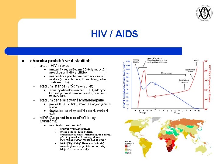 HIV / AIDS l choroba probíhá ve 4 stadiích – akutní HIV infekce l