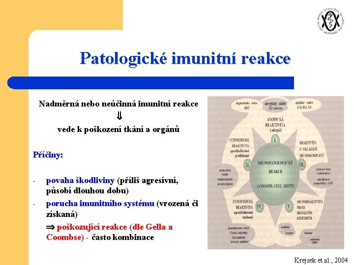 Patologické imunitní reakce Nadměrná nebo neúčinná imunitní reakce vede k poškození tkání a orgánů