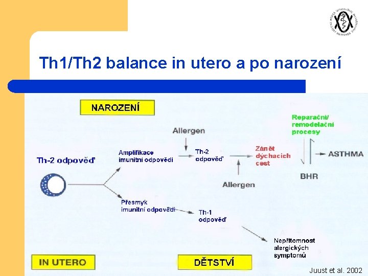 Th 1/Th 2 balance in utero a po narození Juust et al. 2002 