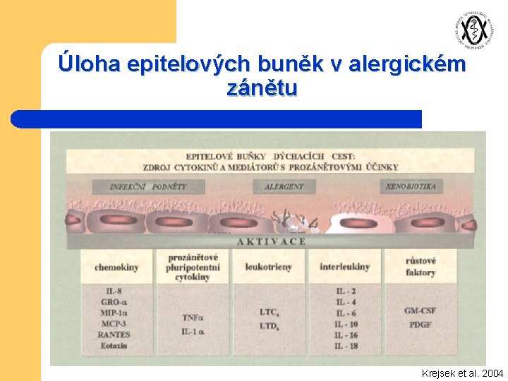 Úloha epitelových buněk v alergickém zánětu Krejsek et al. 2004 