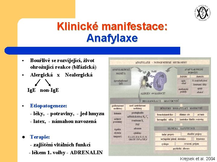 Klinické manifestace: Anafylaxe § § Bouřlivě se rozvíjející, život ohrožující reakce (bifázická) Alergická x