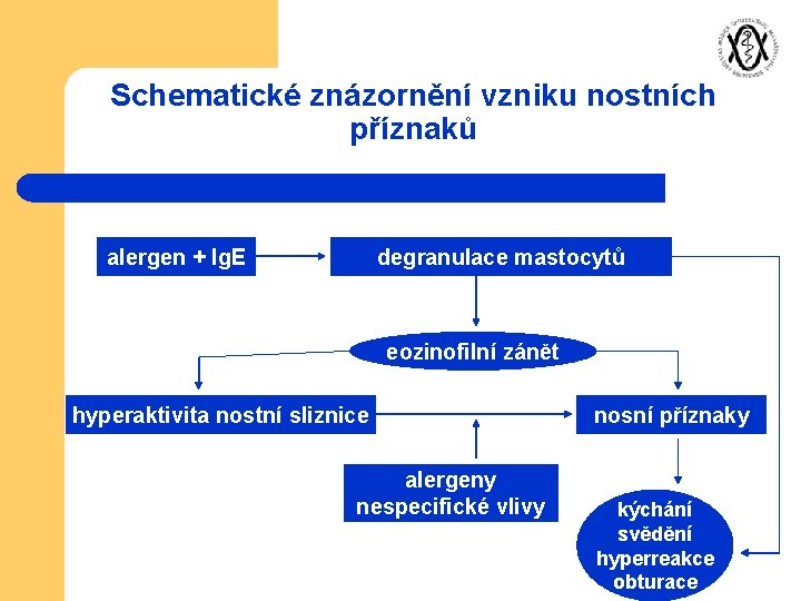 Schematické znázornění vzniku nostních příznaků alergen + Ig. E degranulace mastocytů eozinofilní zánět hyperaktivita