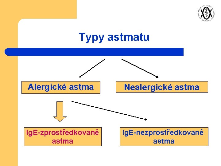 Typy astmatu Alergické astma Nealergické astma Ig. E-zprostředkované astma Ig. E-nezprostředkované astma 