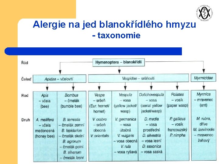 Alergie na jed blanokřídlého hmyzu - taxonomie 