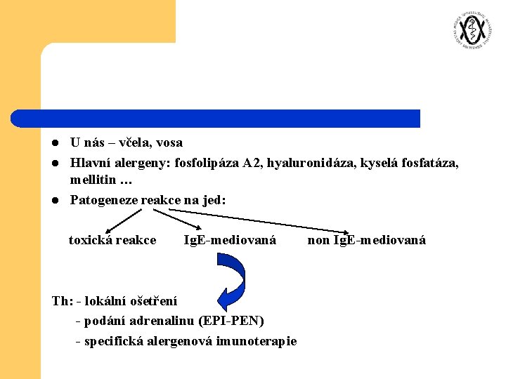 l l l U nás – včela, vosa Hlavní alergeny: fosfolipáza A 2, hyaluronidáza,