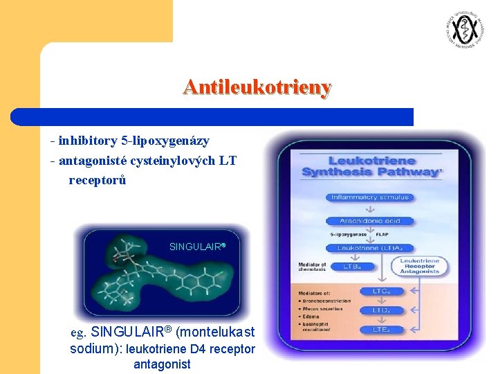 Antileukotrieny - inhibitory 5 -lipoxygenázy - antagonisté cysteinylových LT receptorů SINGULAIR® eg. SINGULAIR® (montelukast