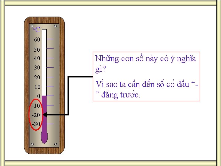 o. C 60 50 40 30 20 10 0 -10 -20 -30 Những con