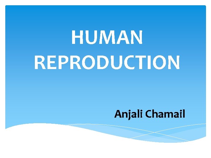 HUMAN REPRODUCTION Anjali Chamail 