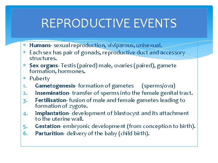 REPRODUCTIVE EVENTS Humans- sexual reproduction, viviparous, unisexual. Each sex has pair of gonads, reproductive