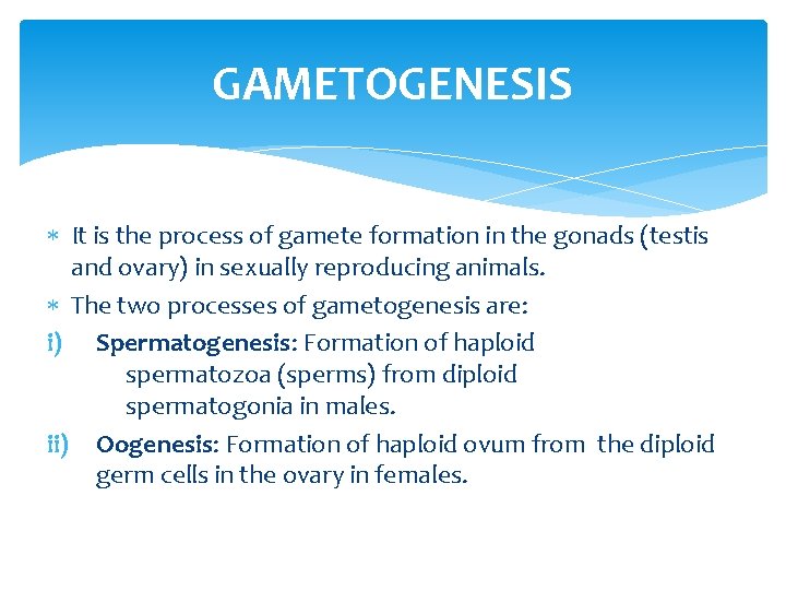 GAMETOGENESIS It is the process of gamete formation in the gonads (testis and ovary)