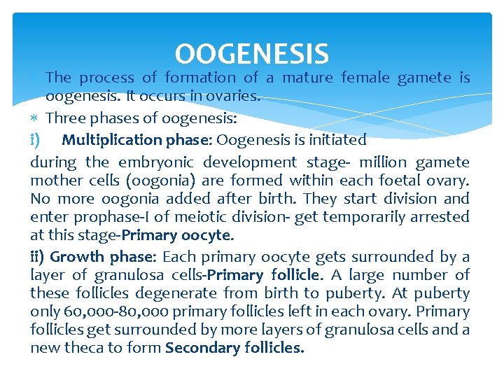 OOGENESIS The process of formation of a mature female gamete is oogenesis. It occurs