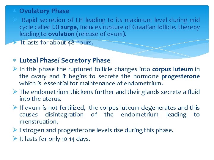  Ovulatory Phase Ø Rapid secretion of LH leading to its maximum level during