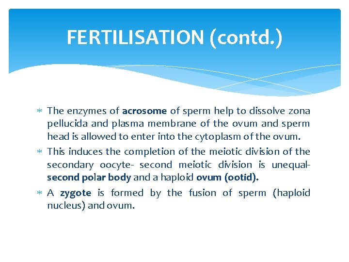 FERTILISATION (contd. ) The enzymes of acrosome of sperm help to dissolve zona pellucida