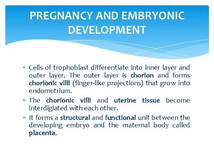 PREGNANCY AND EMBRYONIC DEVELOPMENT Cells of trophoblast differentiate into inner layer and outer layer.
