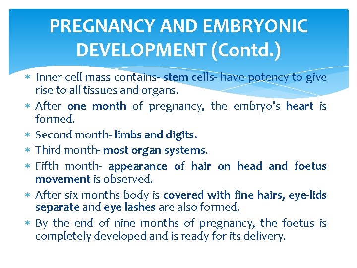 PREGNANCY AND EMBRYONIC DEVELOPMENT (Contd. ) Inner cell mass contains- stem cells- have potency