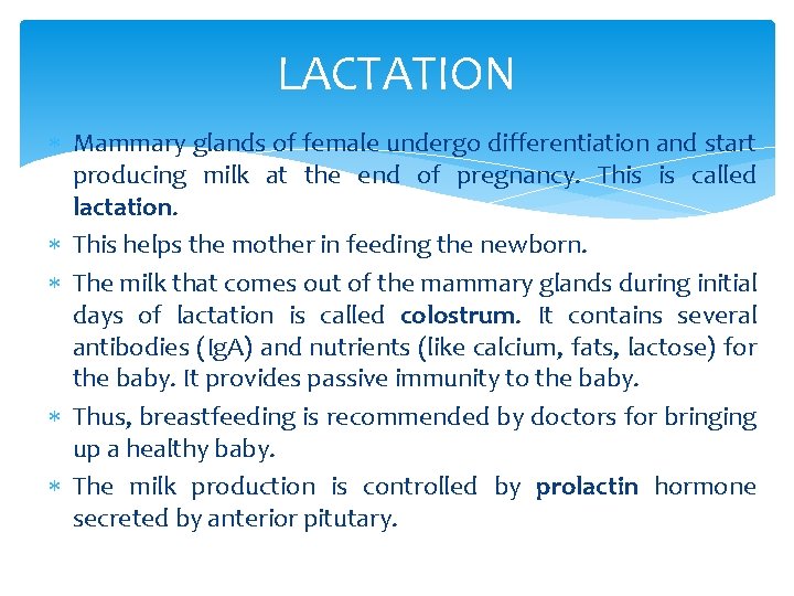 LACTATION Mammary glands of female undergo differentiation and start producing milk at the end
