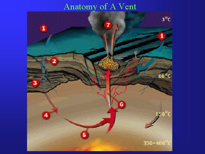 Anatomy of A Vent 