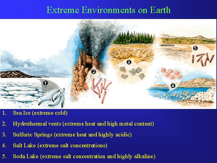 Extreme Environments on Earth 1. Sea Ice (extreme cold) 2. Hydrothermal vents (extreme heat