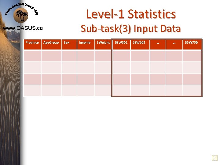 Level-1 Statistics Sub-task(3) Input Data www. OASUS. ca Province Age. Group Sex Income SWeight Level-1 Statistics Sub-task(3) Input Data www. OASUS. ca Province Age. Group Sex Income SWeight