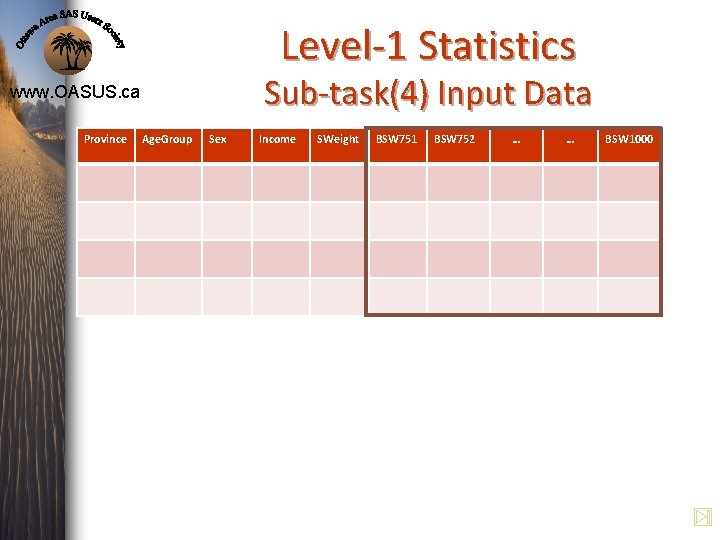 Level-1 Statistics Sub-task(4) Input Data www. OASUS. ca Province Age. Group Sex Income SWeight Level-1 Statistics Sub-task(4) Input Data www. OASUS. ca Province Age. Group Sex Income SWeight