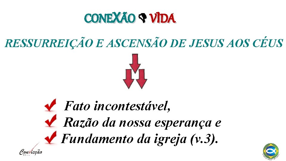 CONEXÃO VIDA RESSURREIÇÃO E ASCENSÃO DE JESUS AOS CÉUS Fato incontestável, Razão da nossa