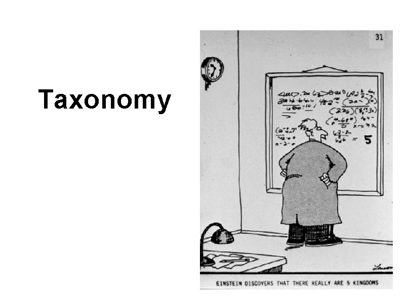 Taxonomy 