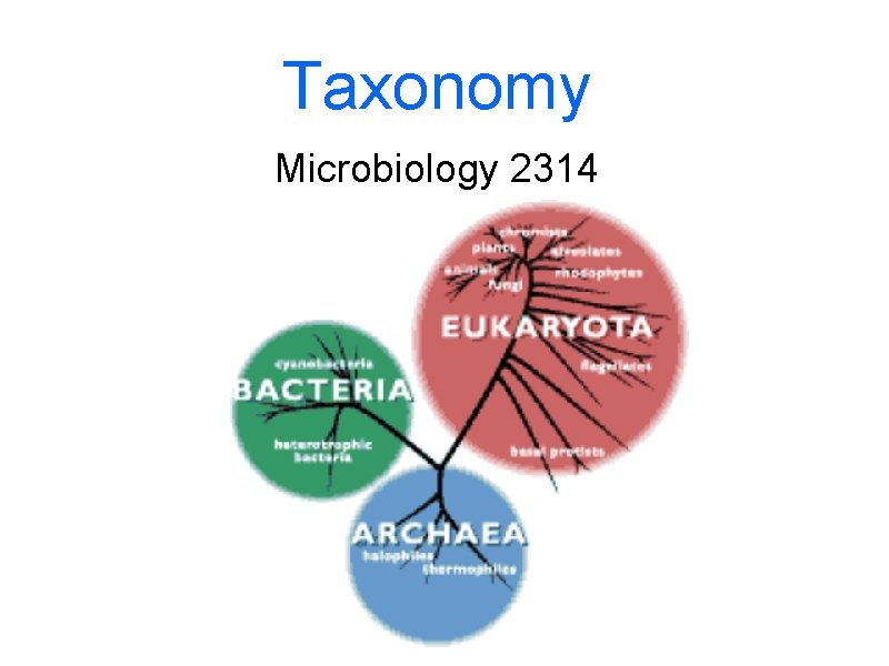 Taxonomy Microbiology 2314 