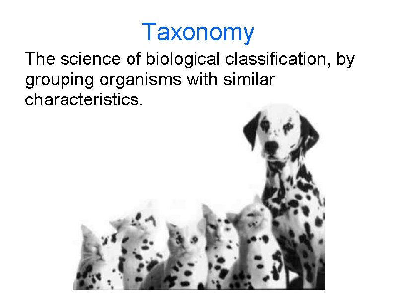Taxonomy The science of biological classification, by grouping organisms with similar characteristics. 