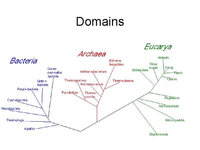 Domains 