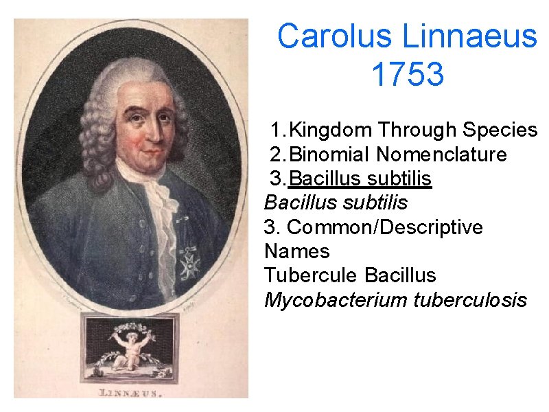 Carolus Linnaeus 1753 1. Kingdom Through Species 2. Binomial Nomenclature 3. Bacillus subtilis 3.