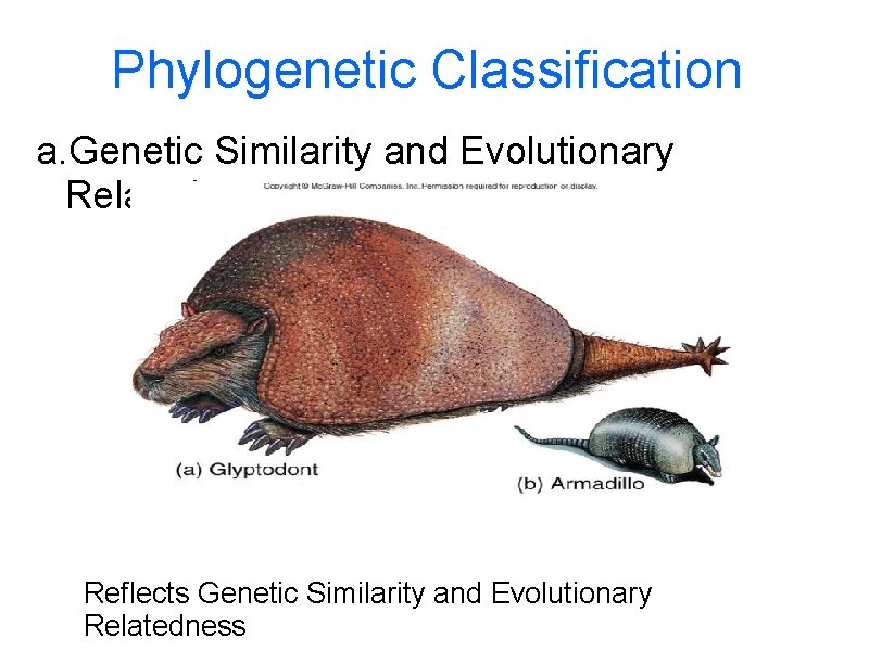 Phylogenetic Classification a. Genetic Similarity and Evolutionary Relatedness Reflects Genetic Similarity and Evolutionary Relatedness