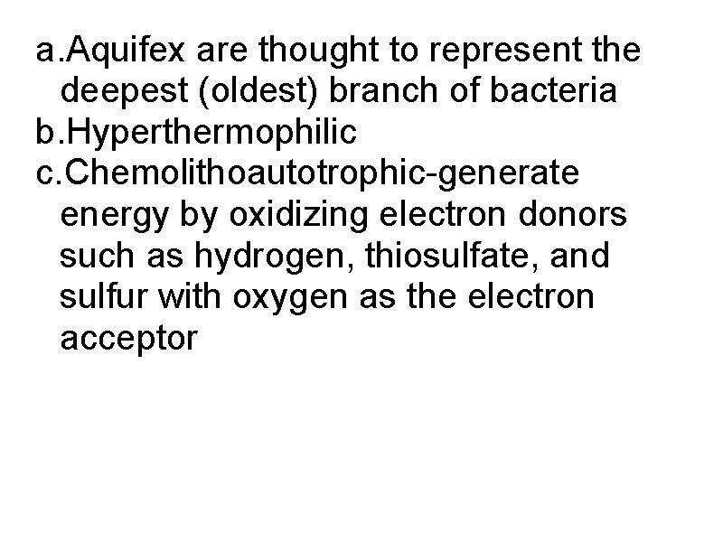 a. Aquifex are thought to represent the deepest (oldest) branch of bacteria b. Hyperthermophilic
